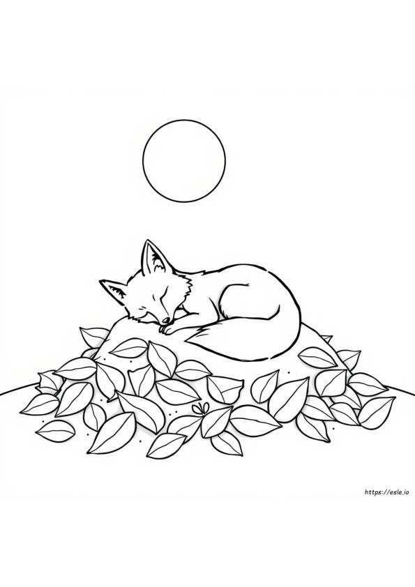 Sleeping Fox Coloring Page