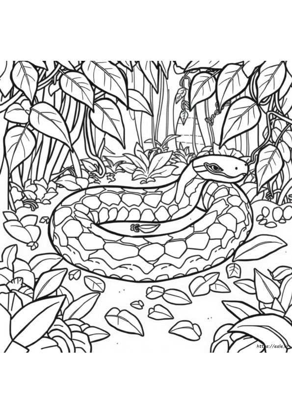 Ular Anaconda