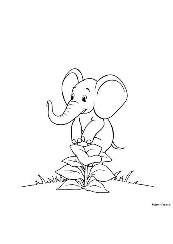 Coloriage Horton