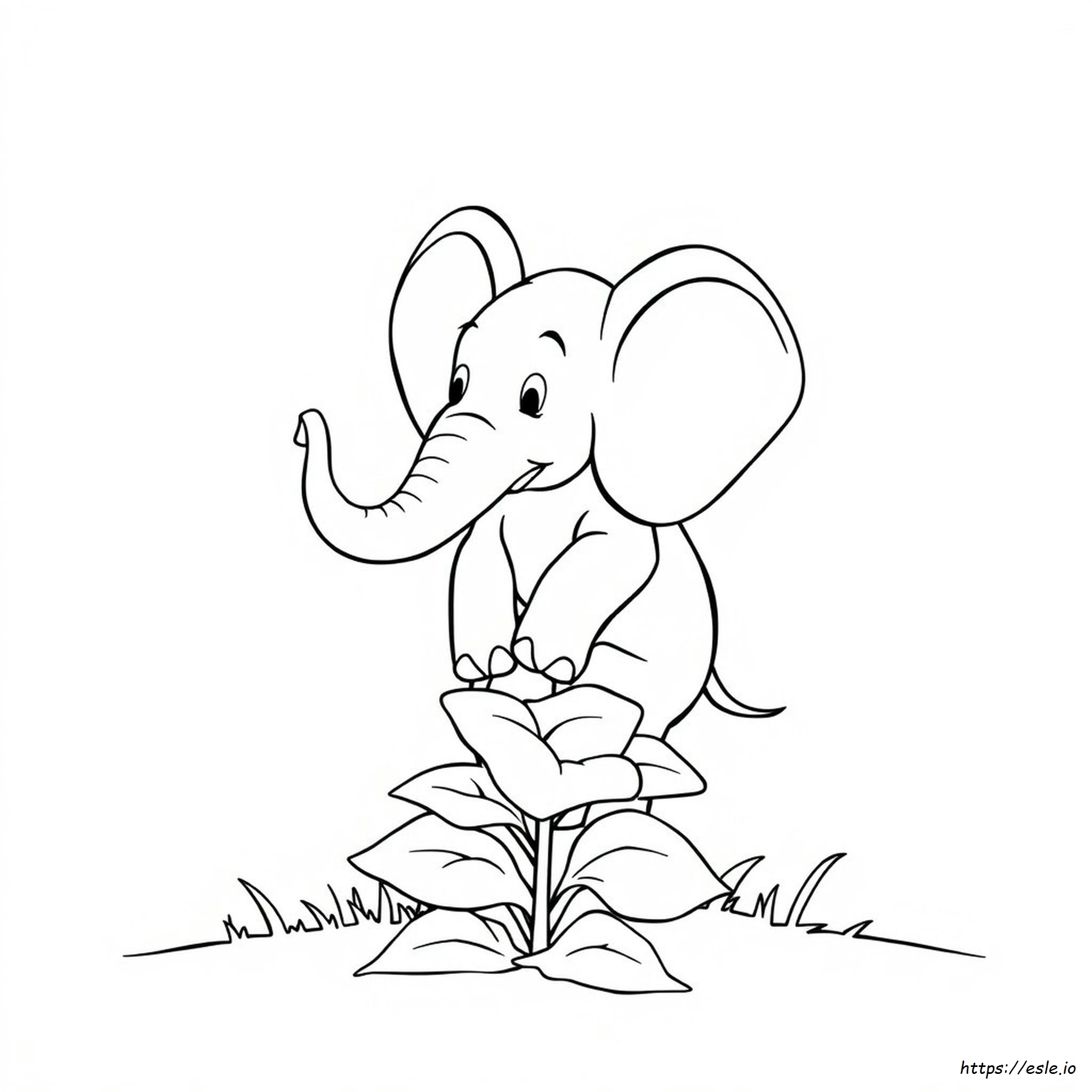 Horton Coloring Page