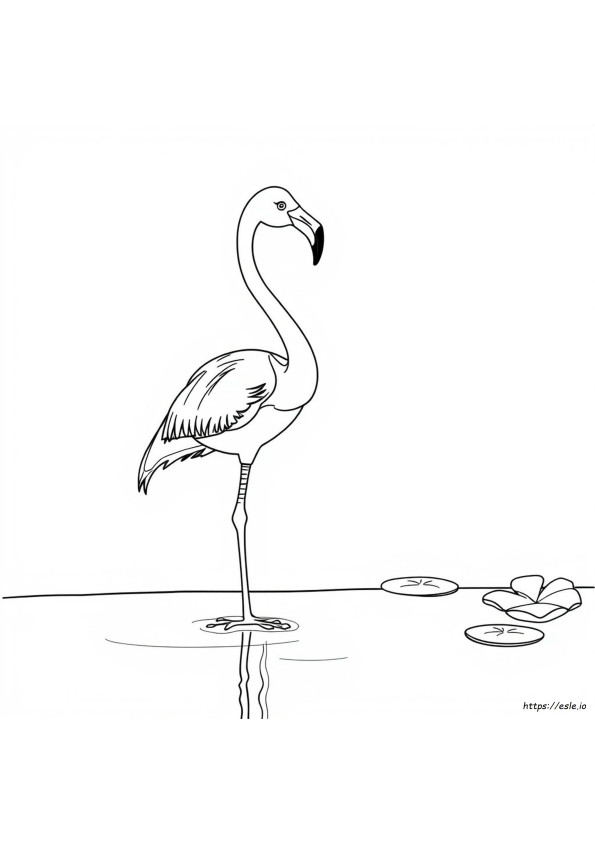 Realistische Flamingo Ausmalbilder
