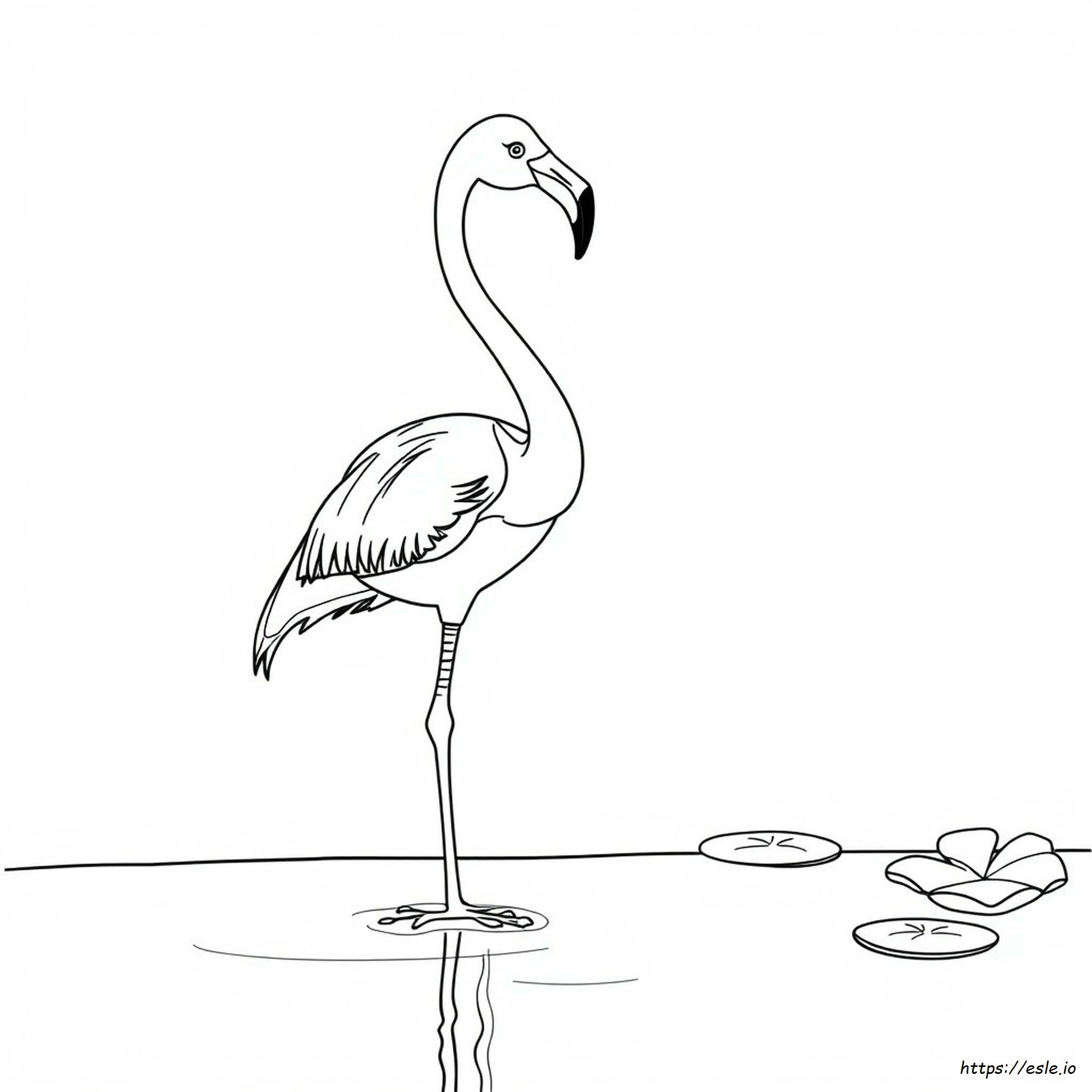 Realistic Flamingo Coloring Pages
