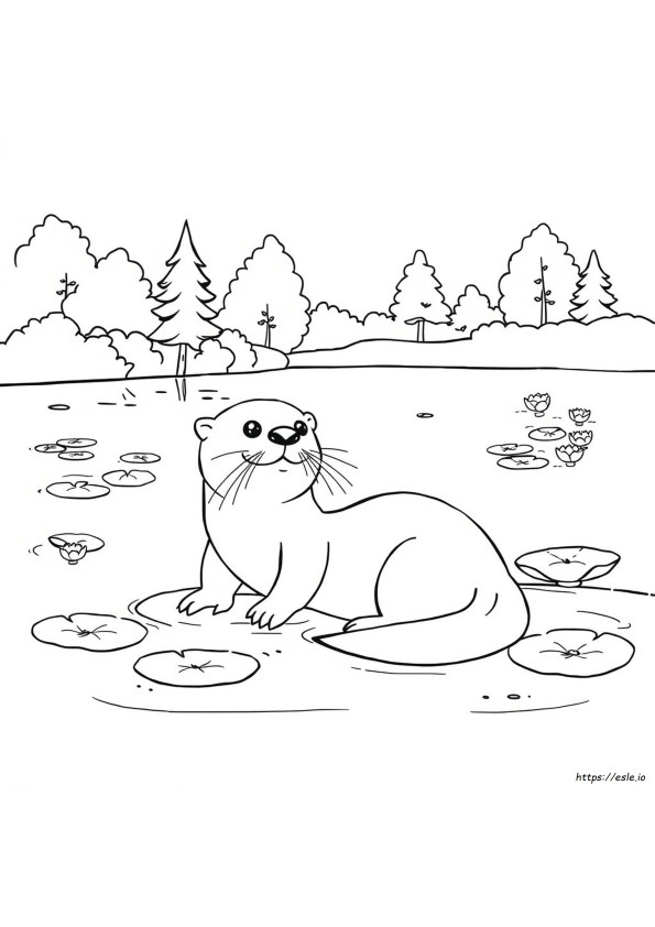Nutria Para Colorear