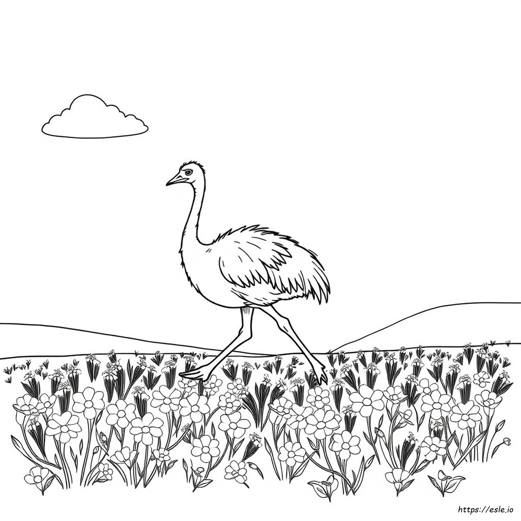 Emu Mewarnai