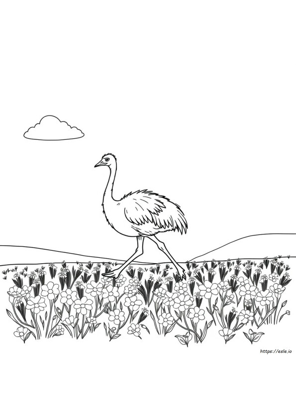 エミュー 塗り絵