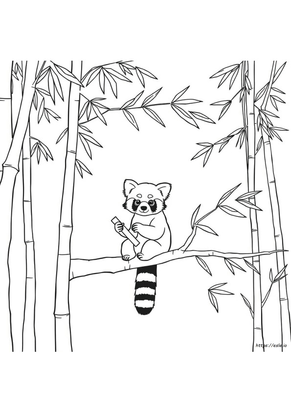 Planeta Panda Roșie De Colorat
