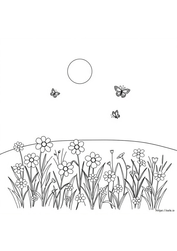 Free Colouring Book Pages