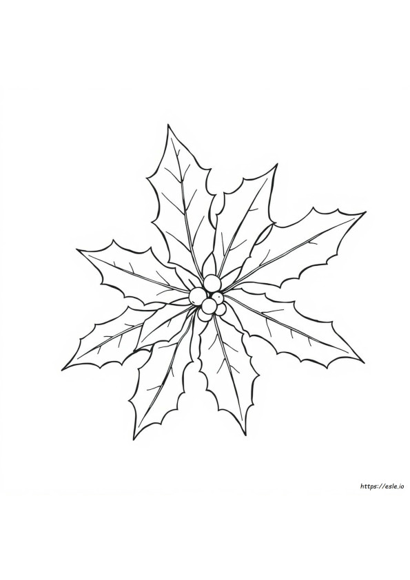 Frunze De Ilex De Colorat