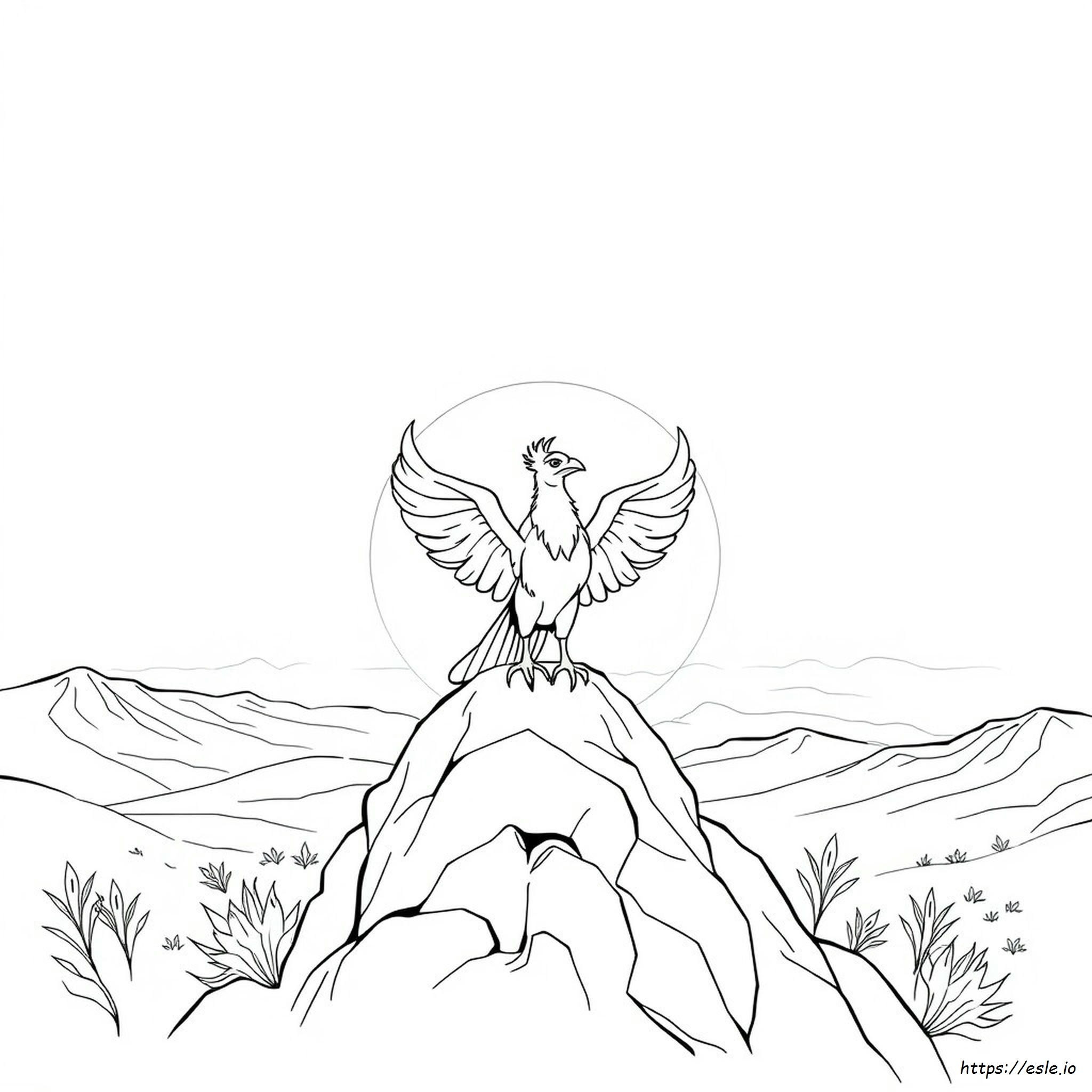 Phoenix Color Locations