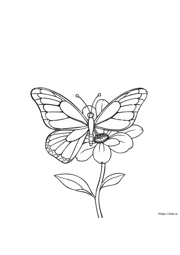 Mariposa Media Flor Para Colorear