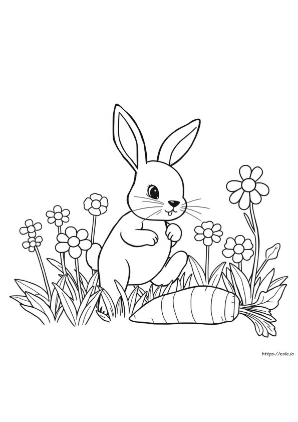 Rabit Coloring