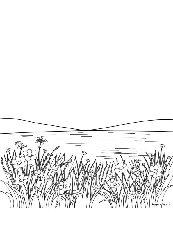 Stress Free Coloring Pages For Adults