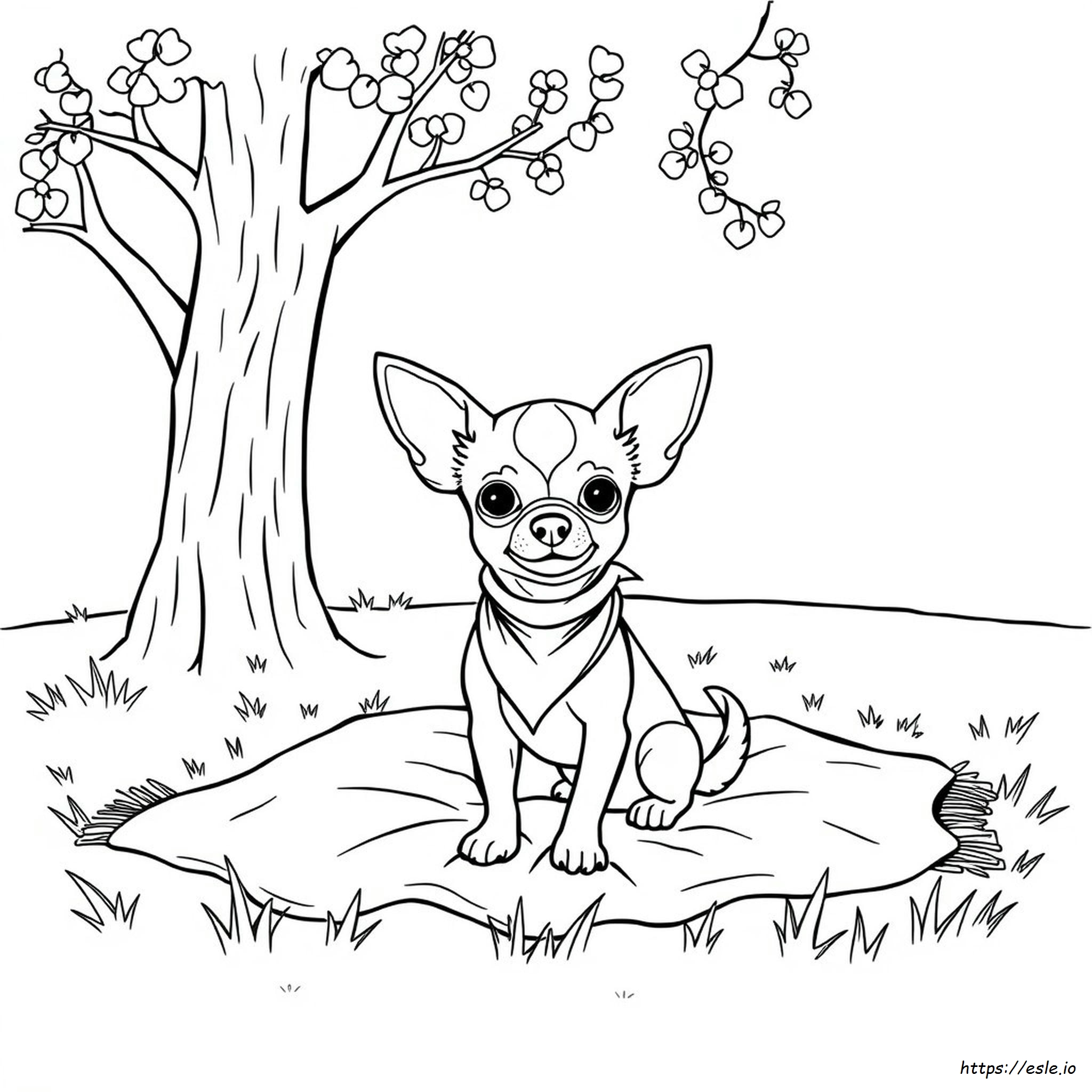 Chihuahua Coloring Sheet
