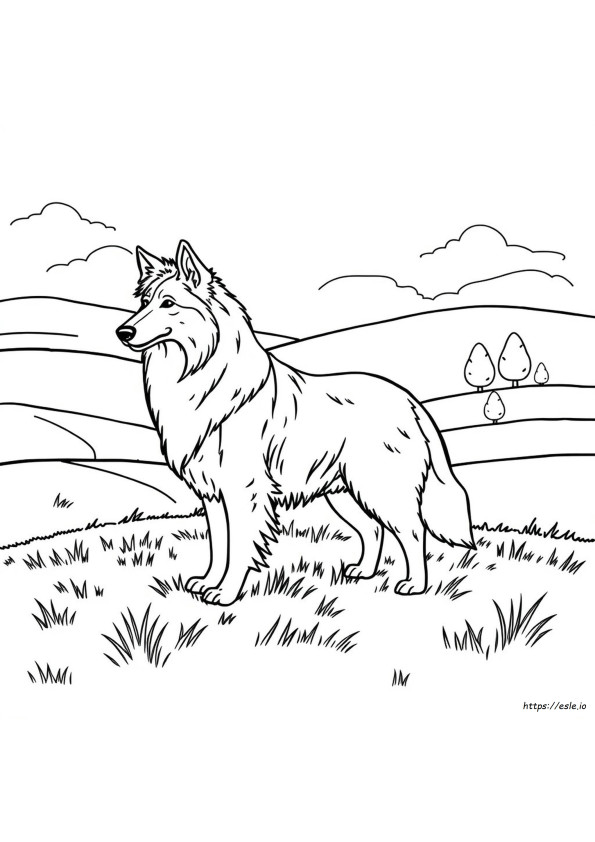Collie Ausmalbilder