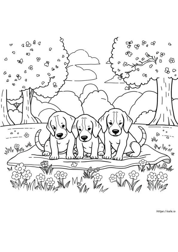 Sevimli Beagle Boyama Sayfaları