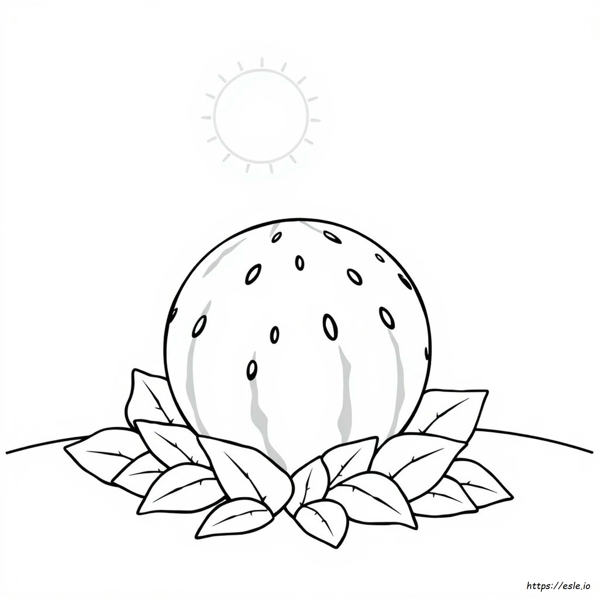 Watermelon Picture For Colouring