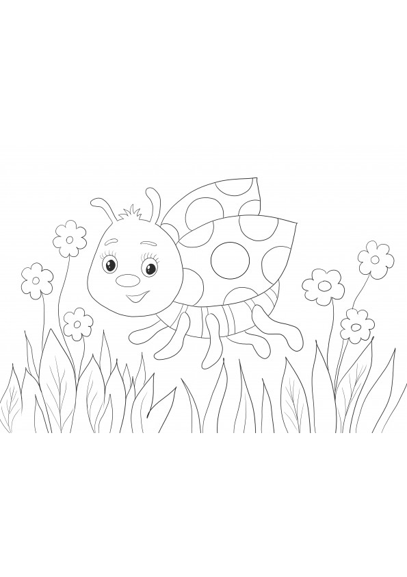 Smiling Lady Bug to color- free printing or saving for later image