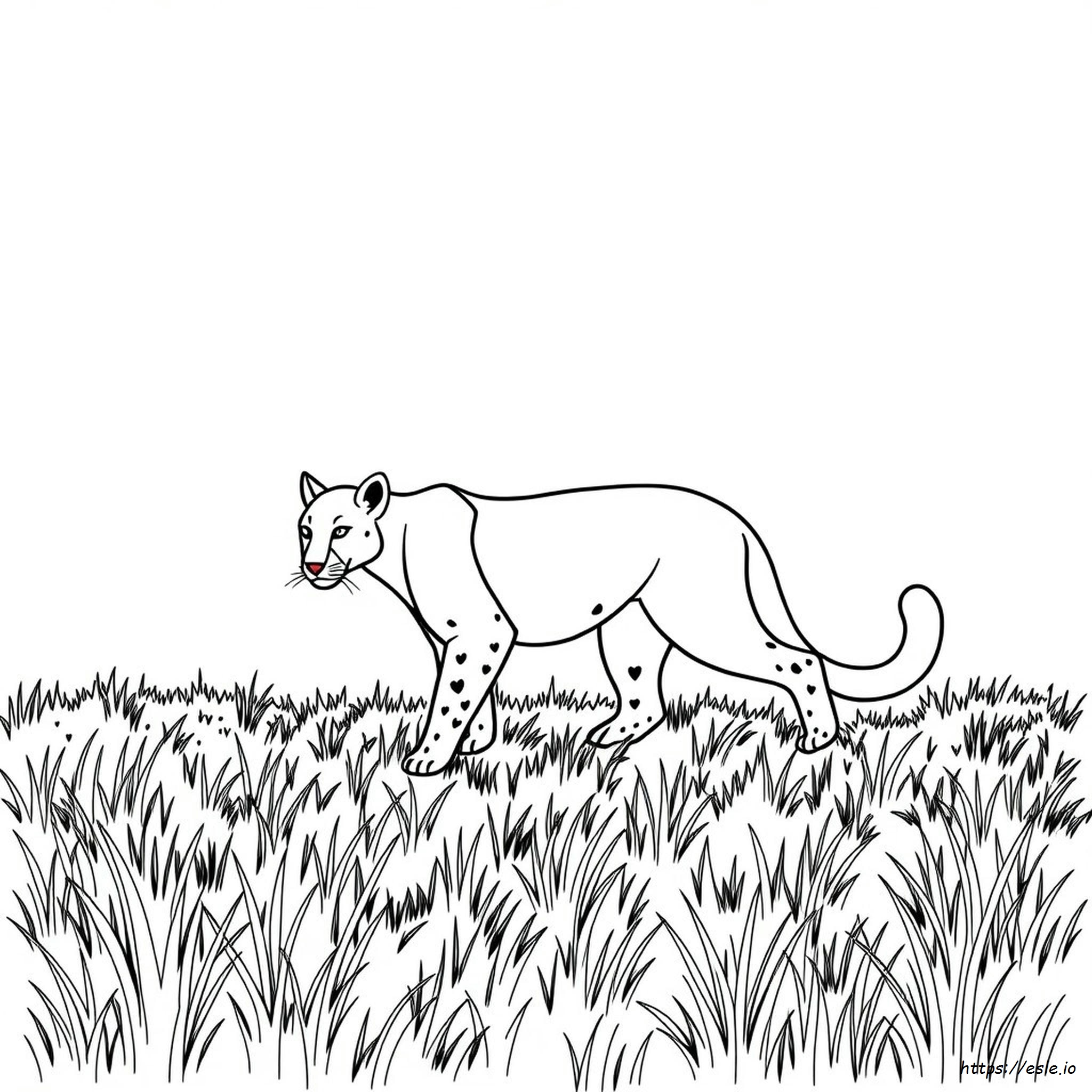 Free Cougar Coloring Pages