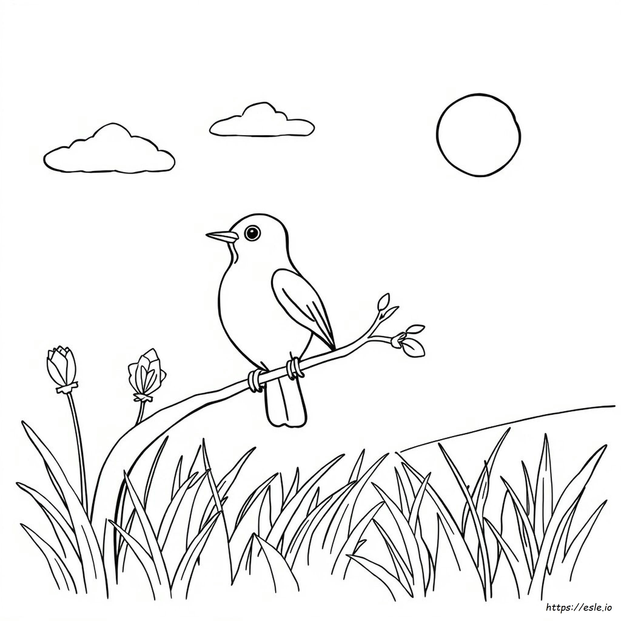 Coloring Hudhud Drawing