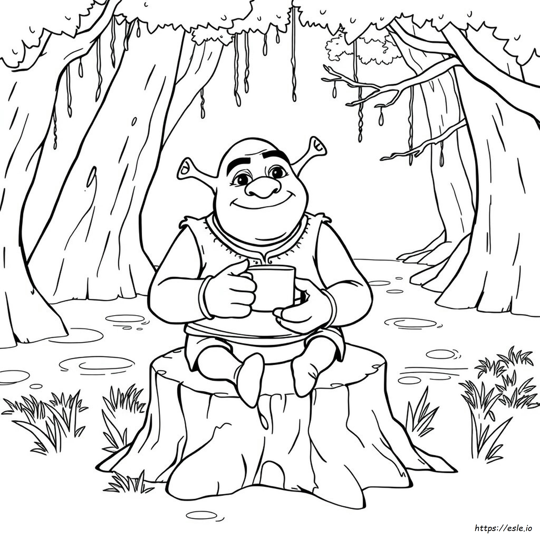 Immagini Di Shrek Da Colorare