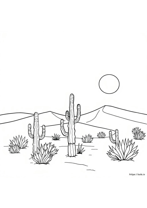 Disegno Da Colorare: Habitat Del Deserto