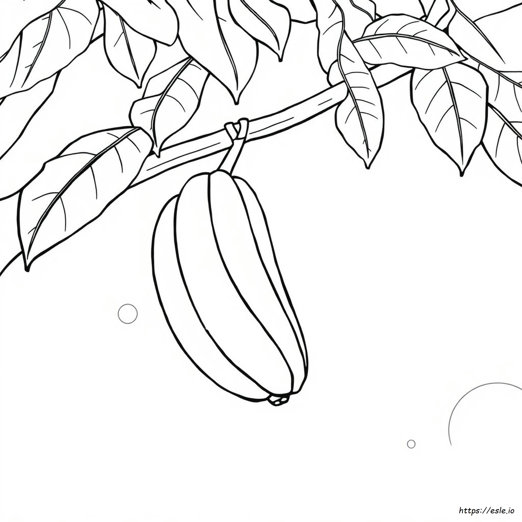 Banana Colouring Picture