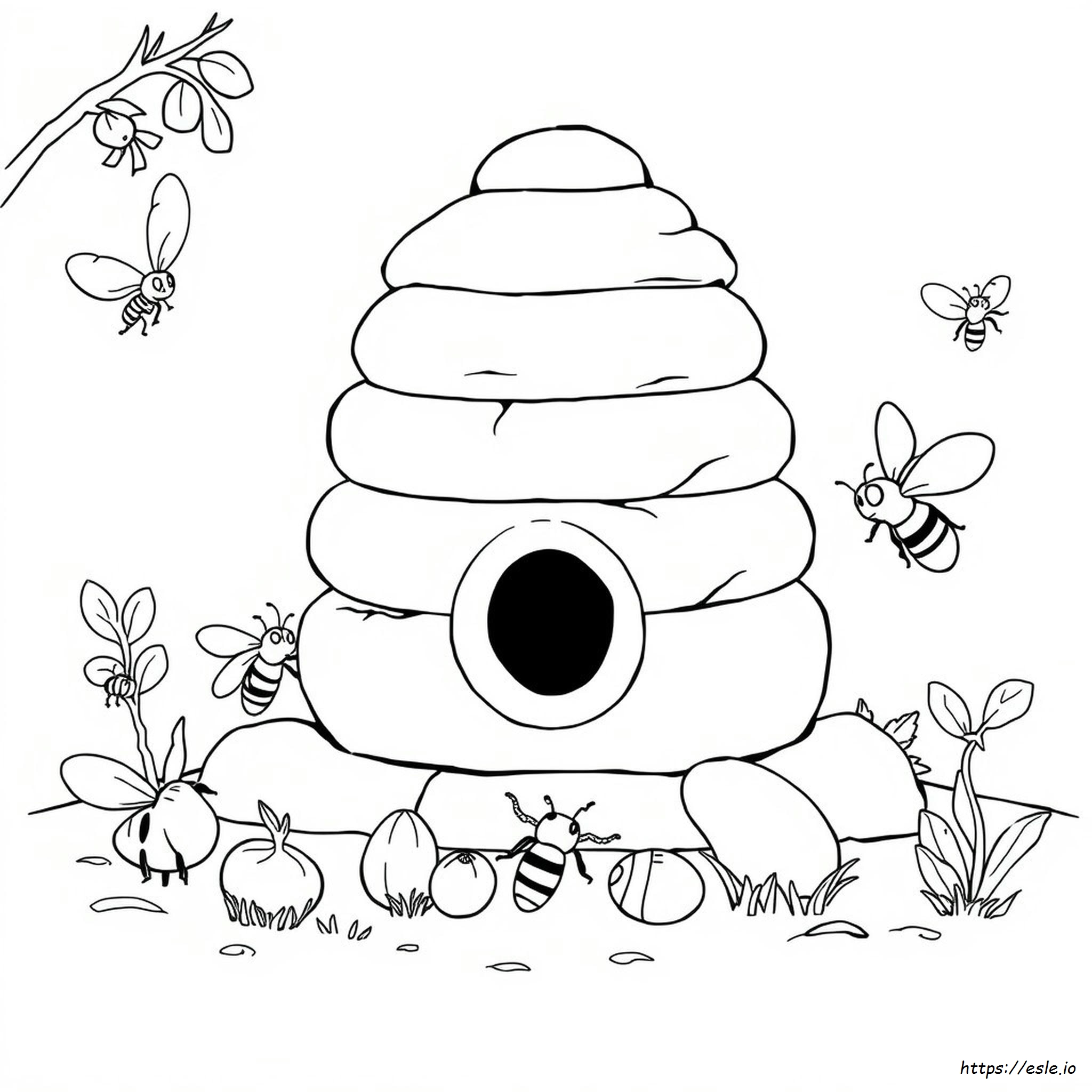 Animal Life Cycle Coloring Pages