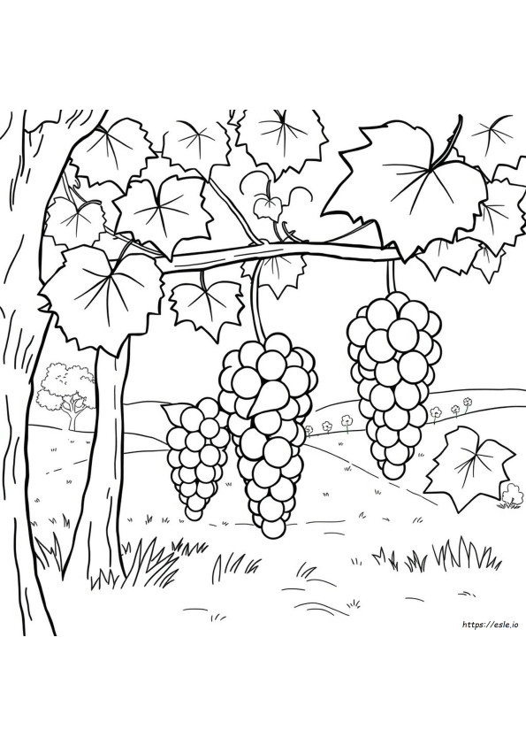 Letra G De Uvas Para Colorir