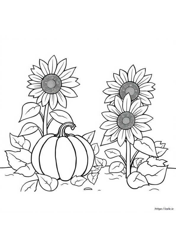 Girasol Y Calabaza Para Colorear
