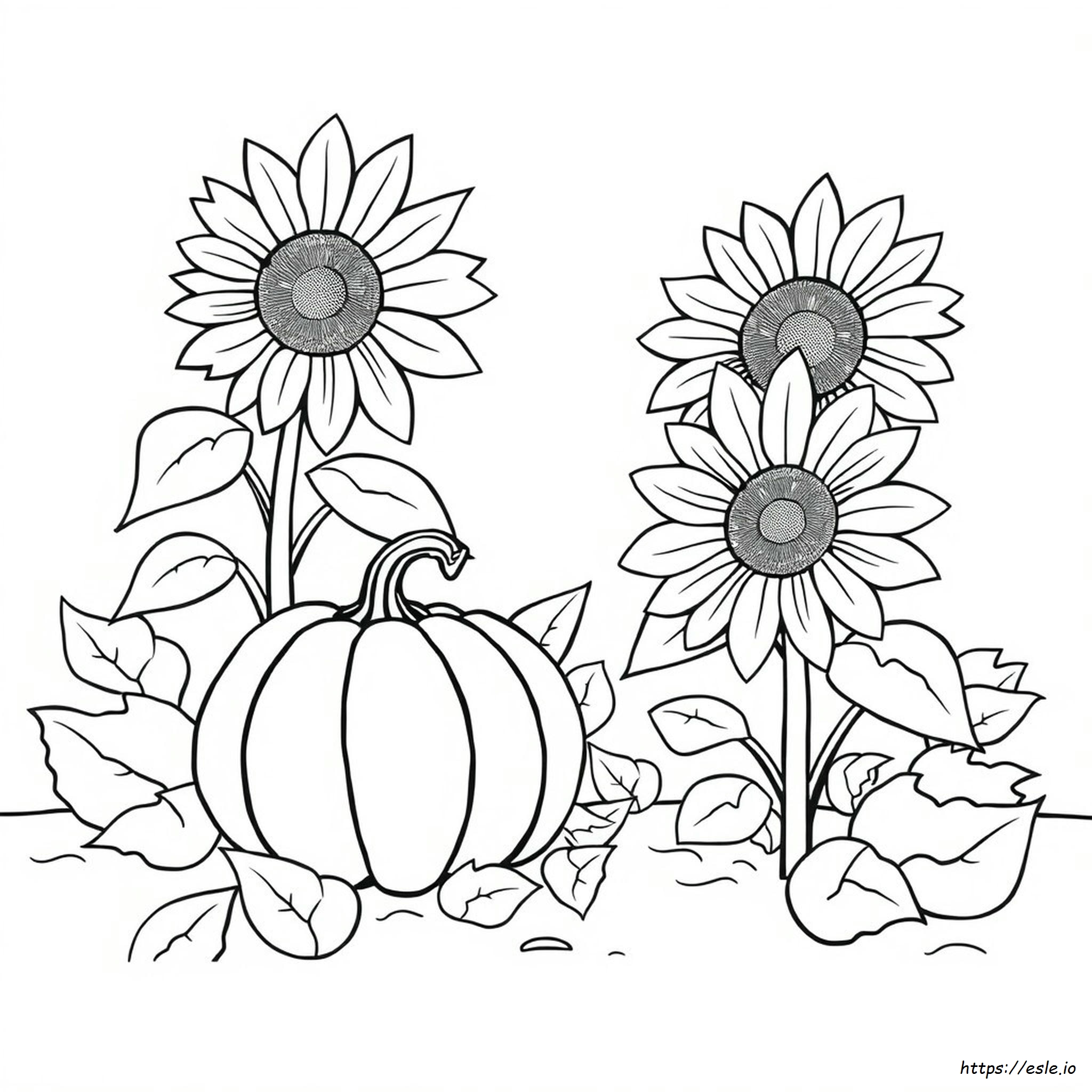 Sunflower And Pumpkin Coloring Page