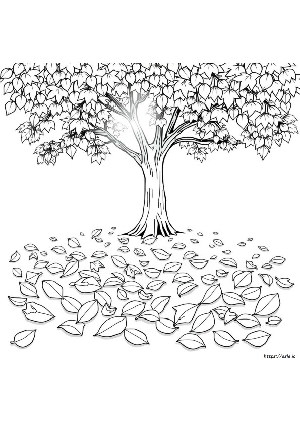 Leaves Colouring Pages