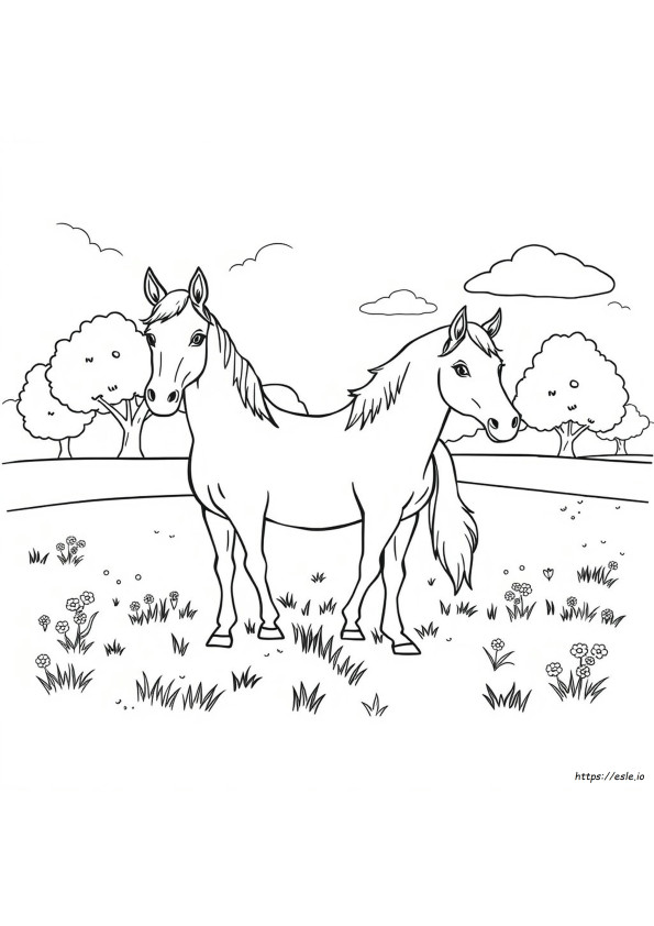Horse Picture For Coloring