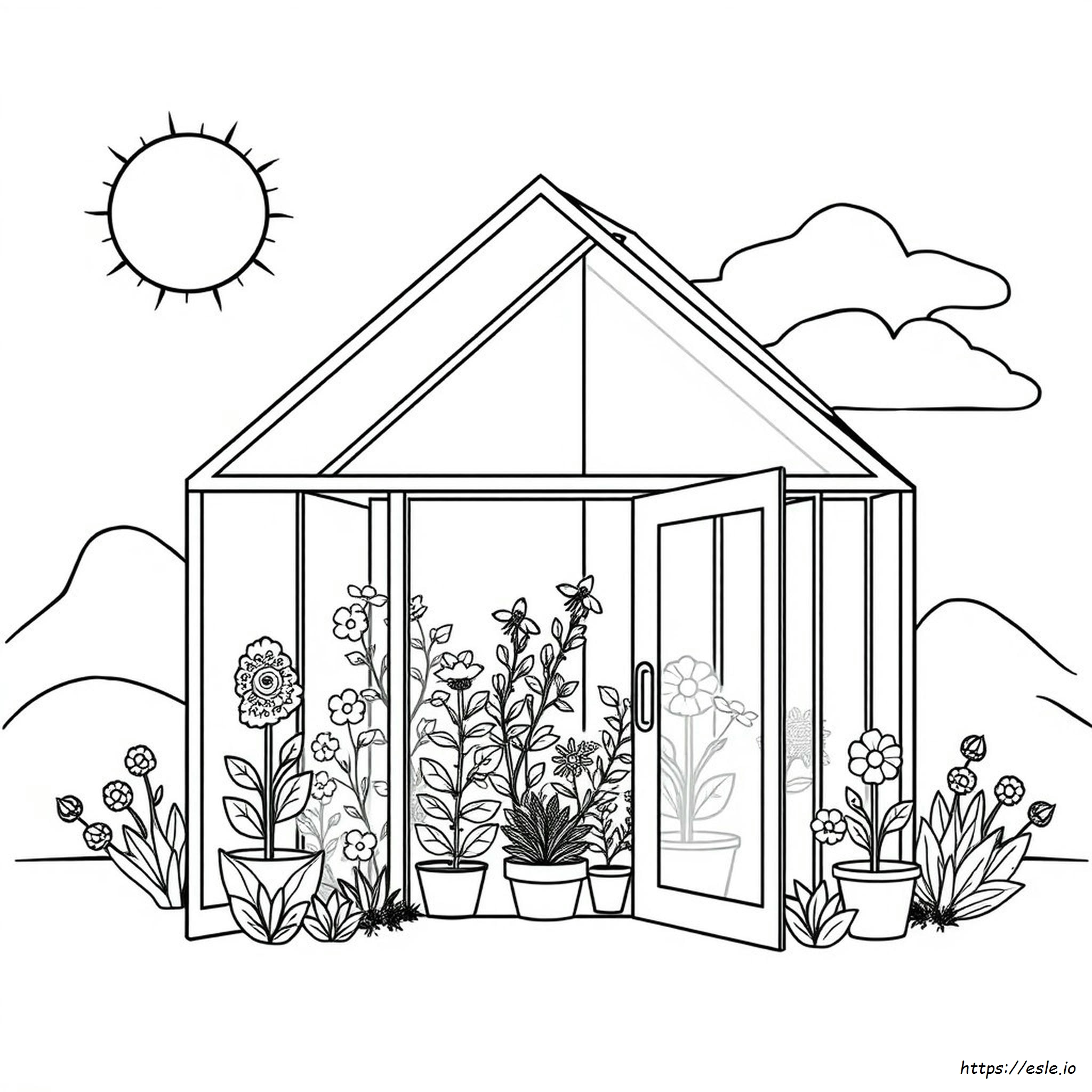 What Color Should A Greenhouse Be