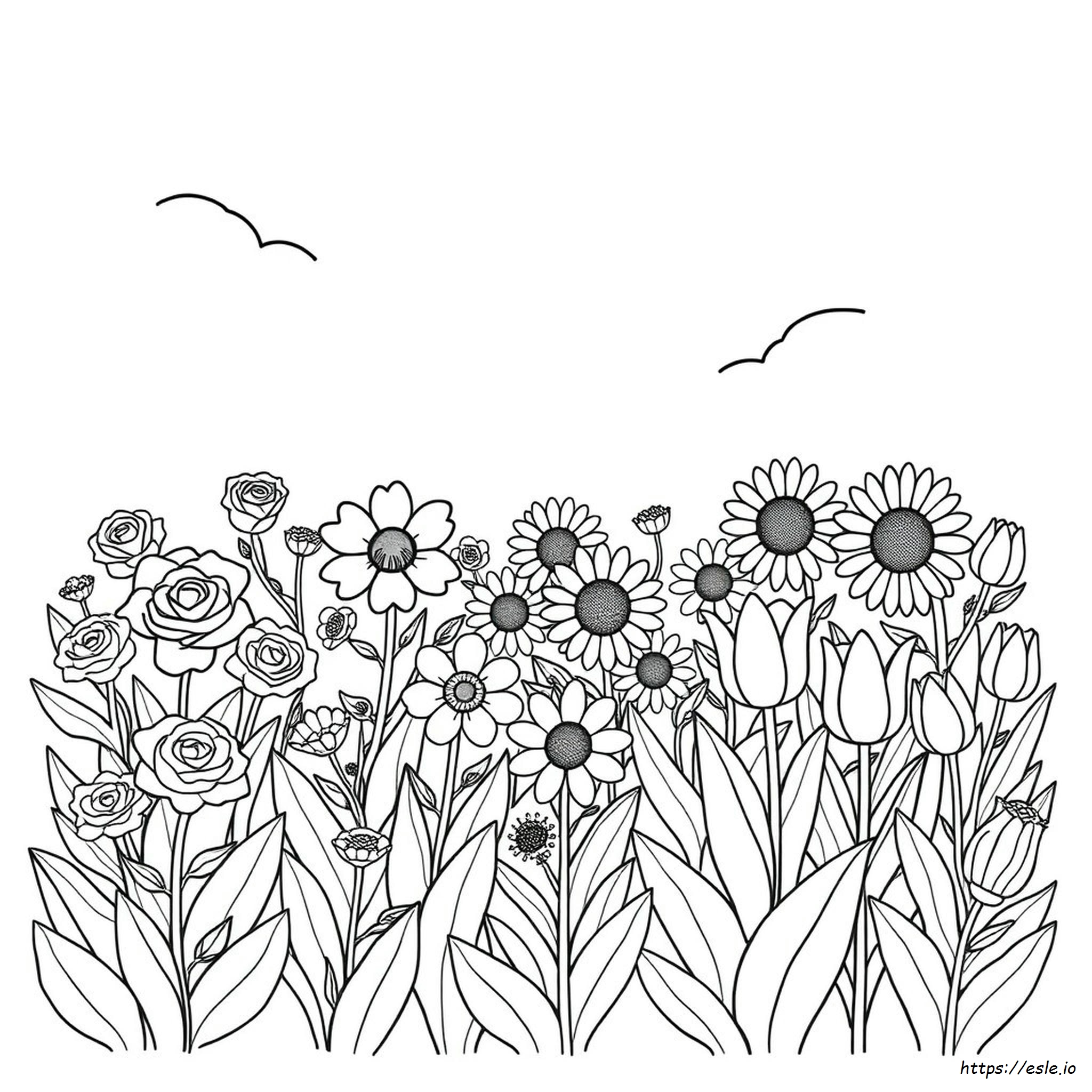 Different Types Of Flowers Coloring Pages