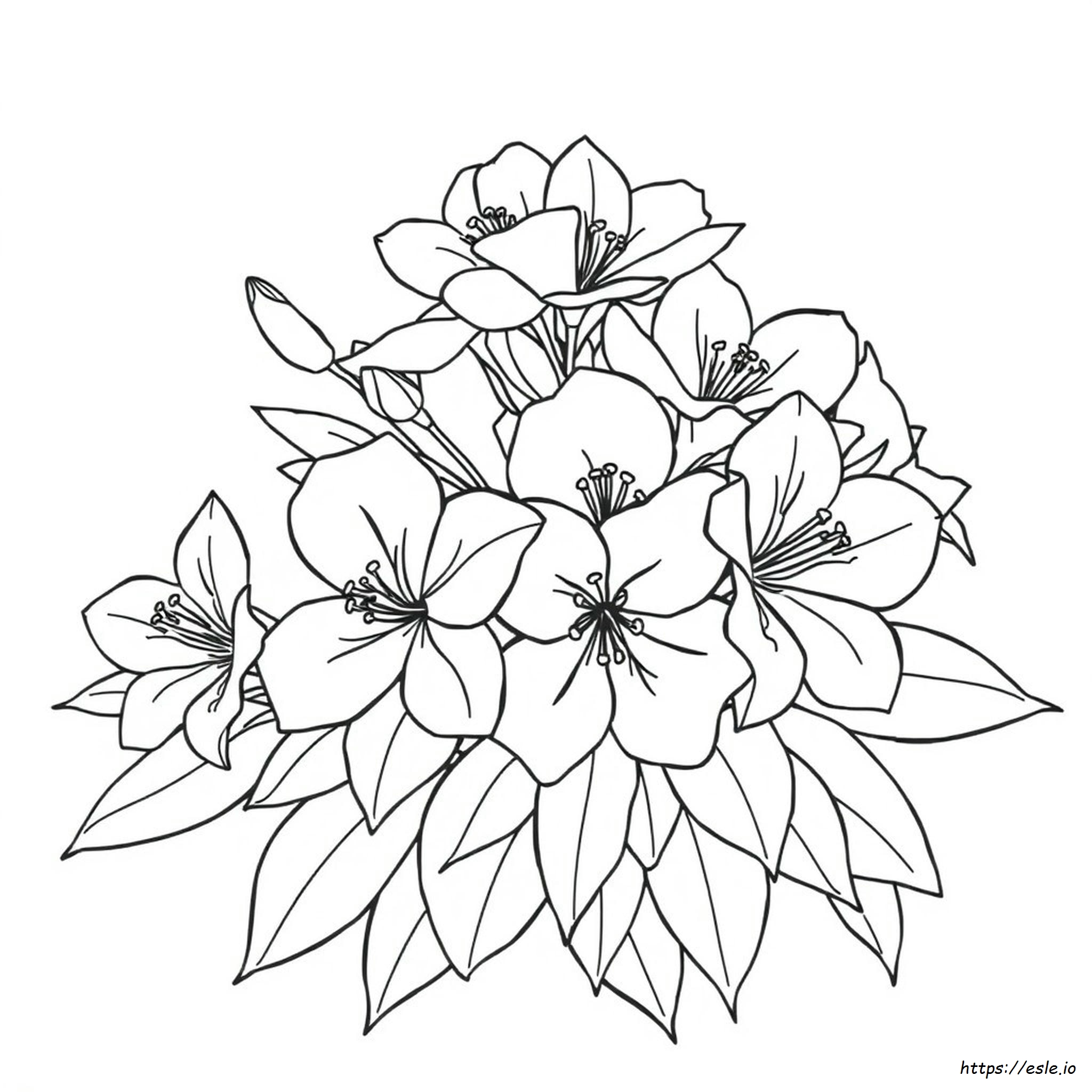 What Colors Do Azaleas Come In