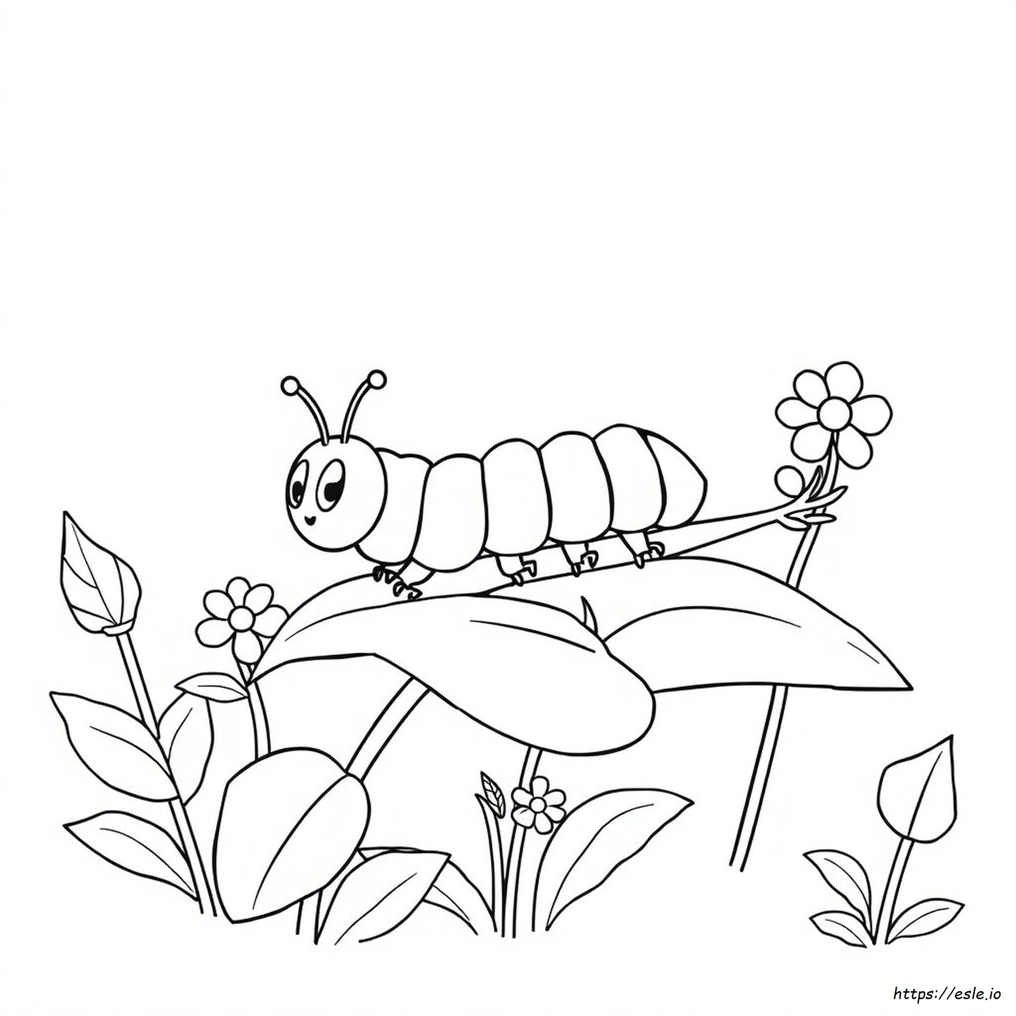 Dibujo De Oruga Para Colorear