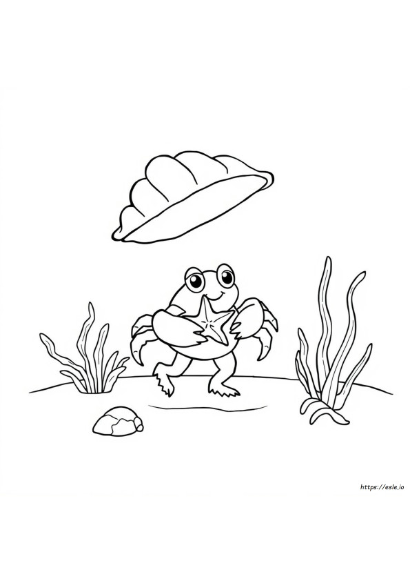 Hermit Crab Coloring Pages Printable