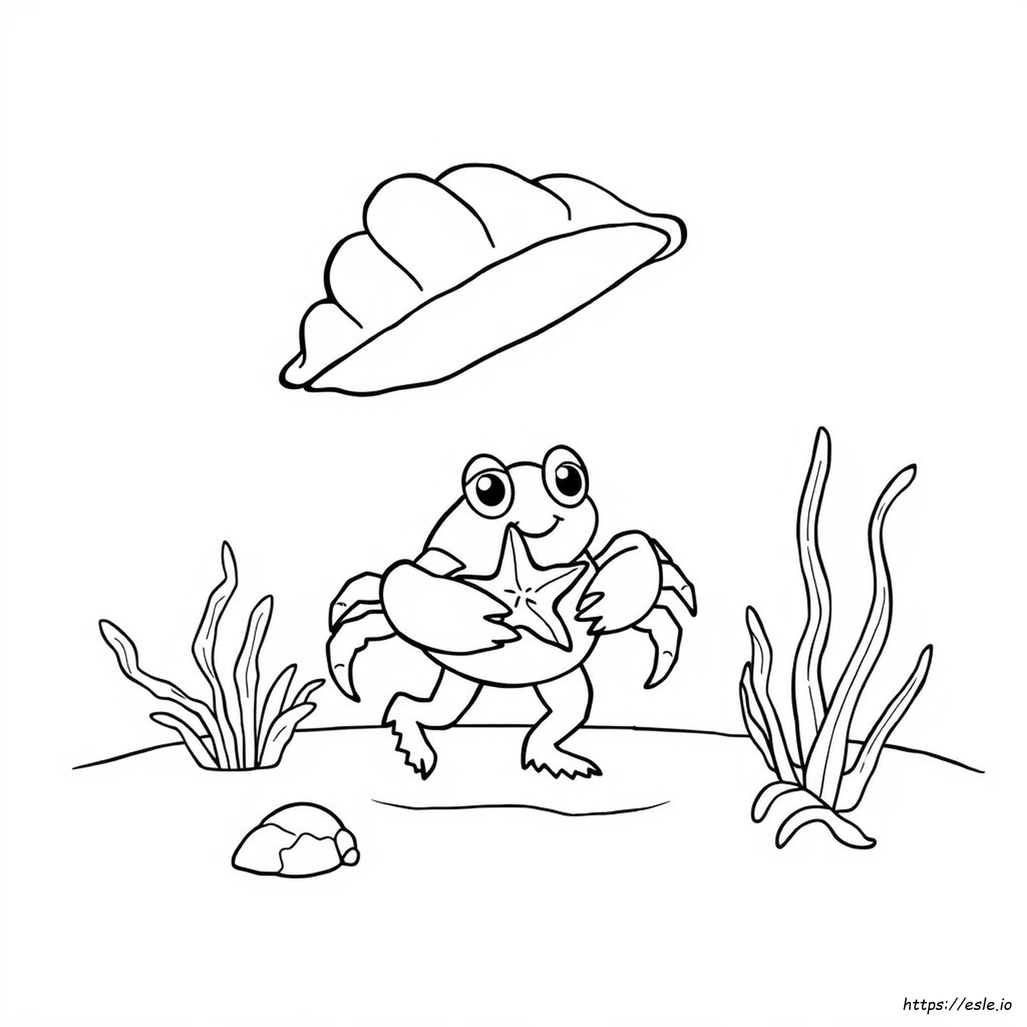 Hermit Crab Coloring Pages Printable