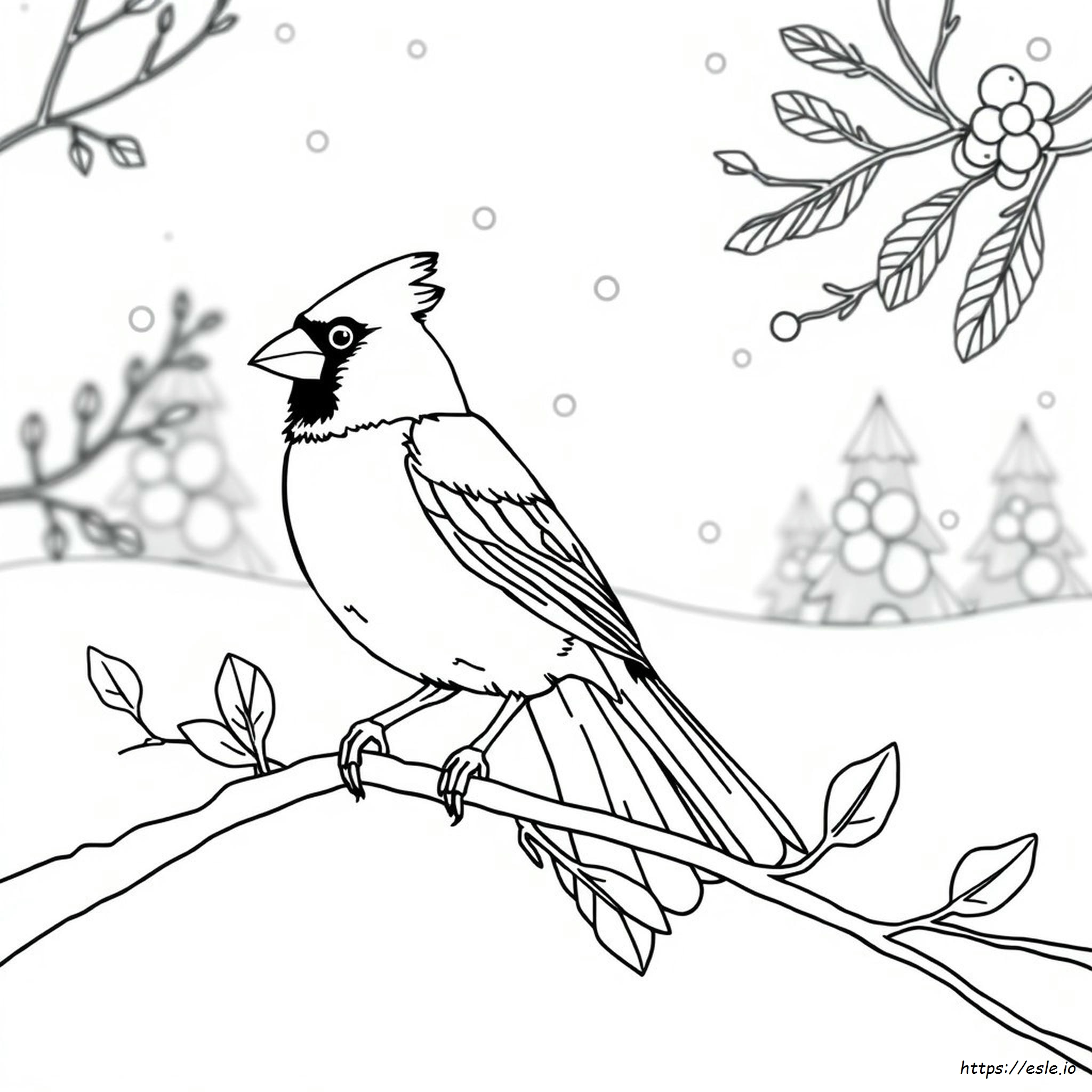 Cardinal Coloring Pages For Adults