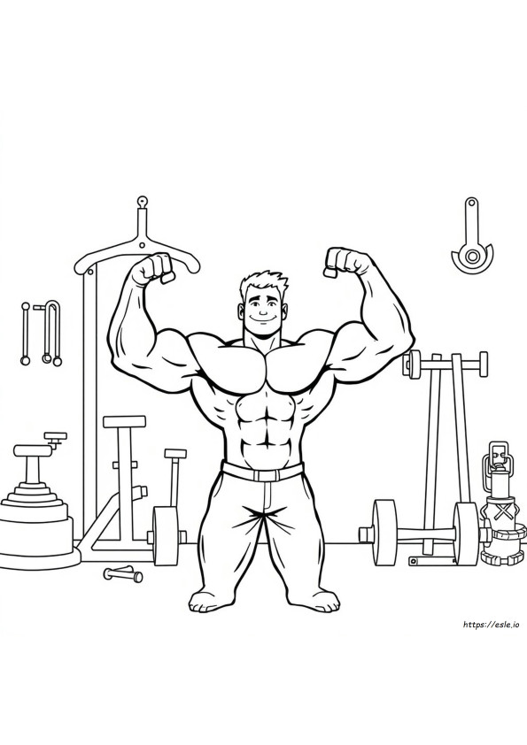 Muscle Coloring Activity