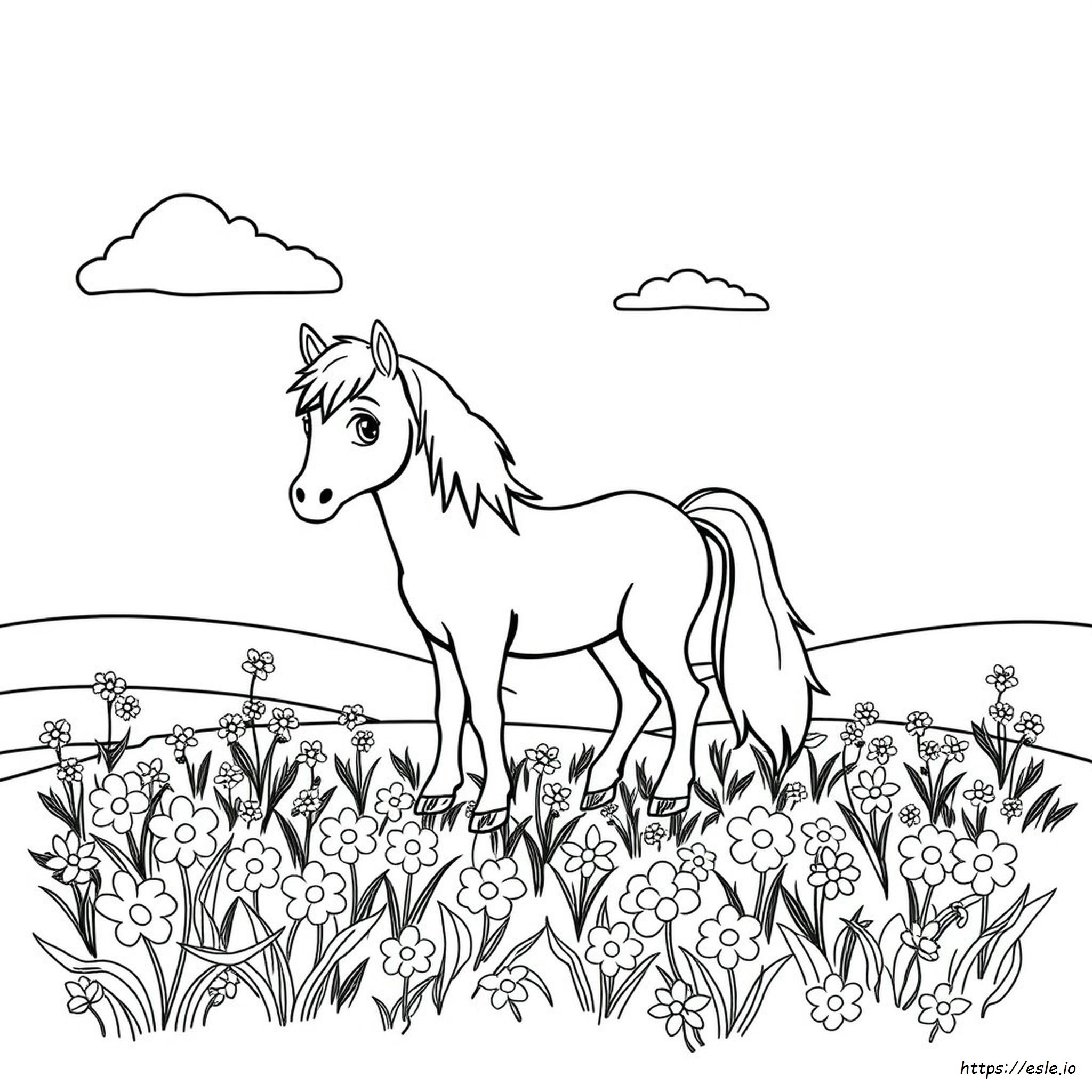 Pony Ausmalbilder Zum Ausdrucken