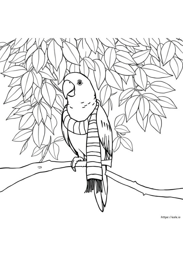 Coloring Page Parrot Colouring