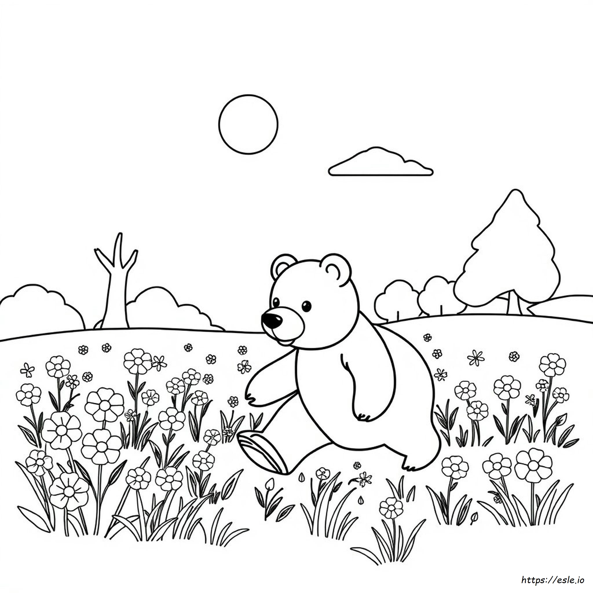 Orso Da Colorare