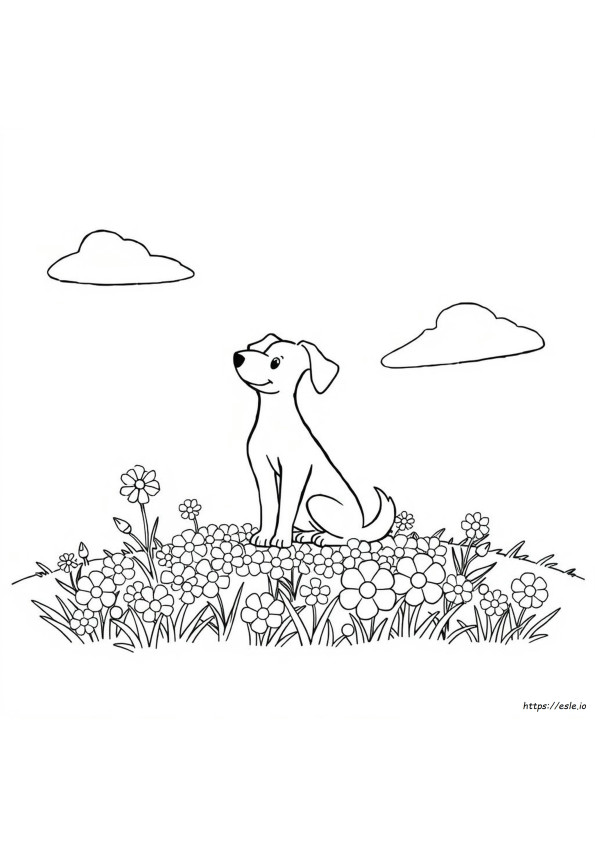 Dog And Flower Coloring Pages