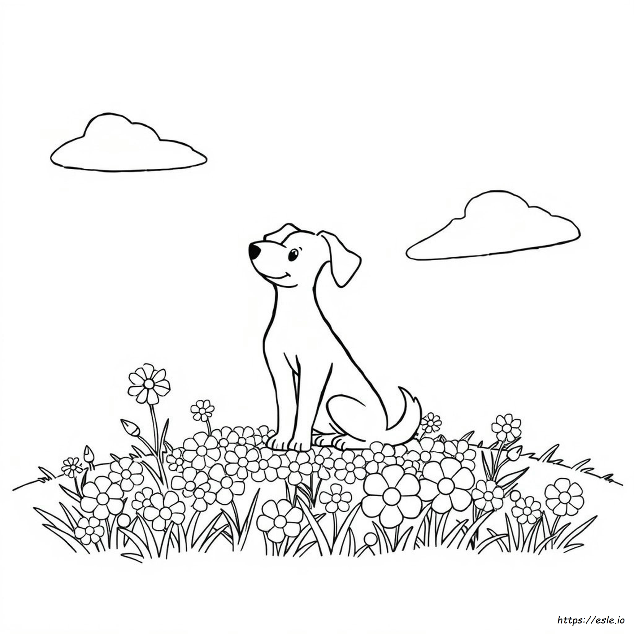 Dog And Flower Coloring Pages