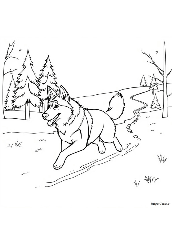 Husky Gambar Mewarnai Untuk Dicetak
