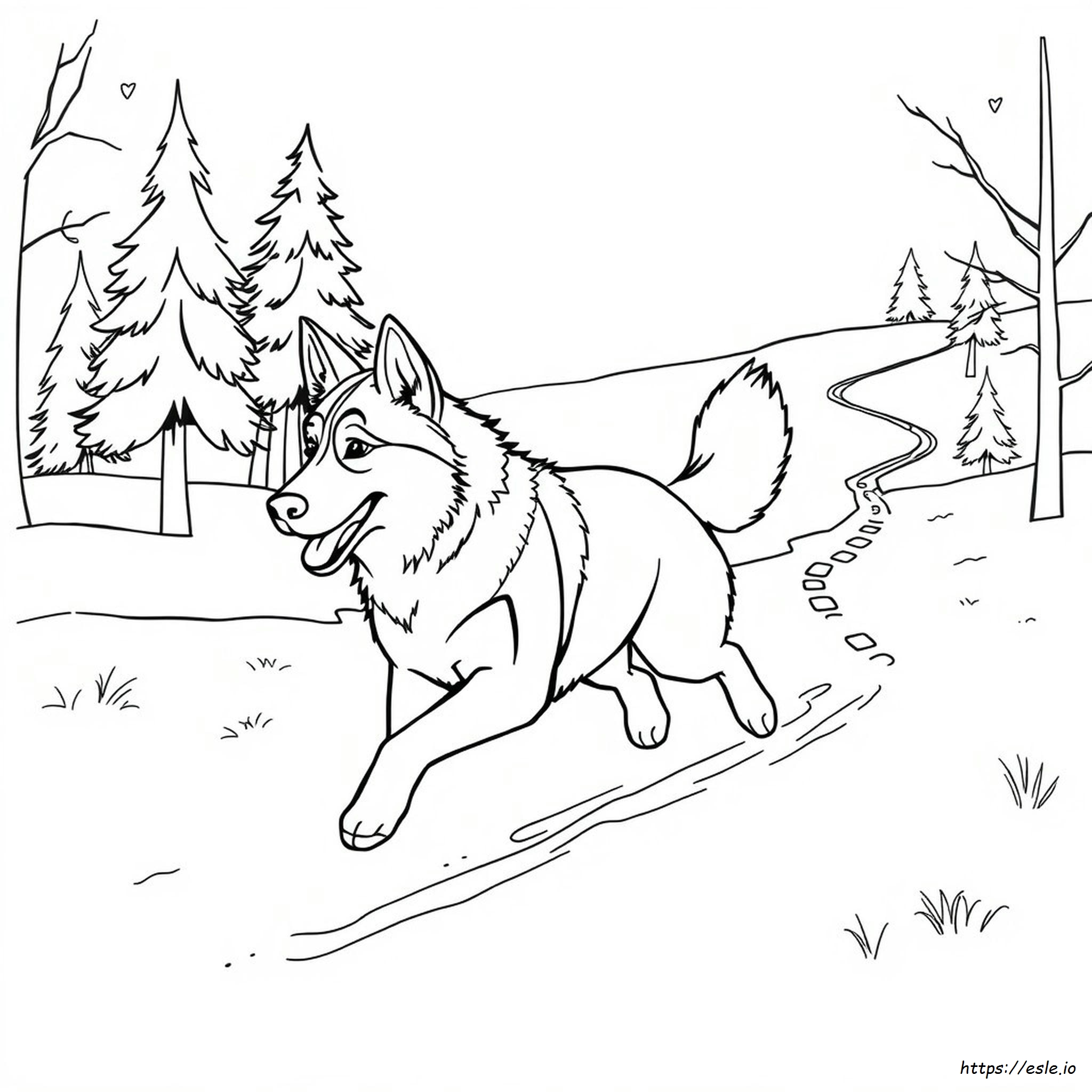 Husky Ausmalbilder Zum Ausdrucken