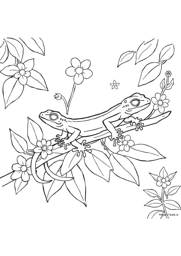 Gecko Ausmalbild