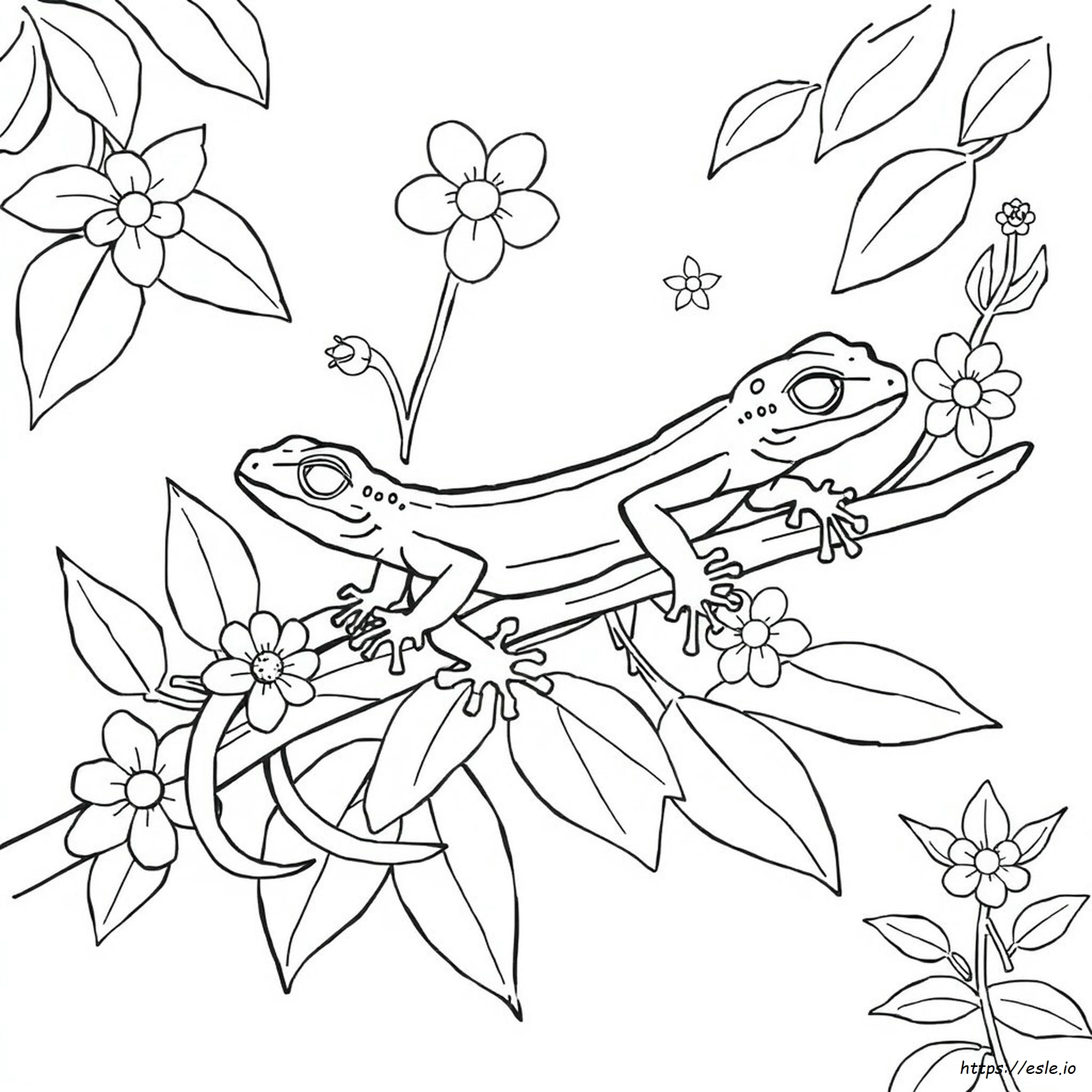 Gecko Ausmalbild