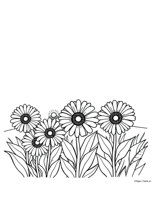 Gerbera Margarita Para Colorear